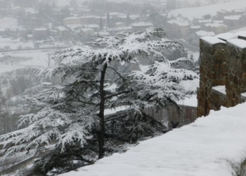 La nevicata del febbraio 2012