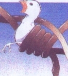 Tossicodipendenze.  Un cortometraggio per informare e sensibilizzare i giovani