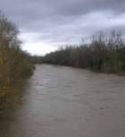 Interventi urgenti di manutenzione straordinaria e sistemazione idraulica del fiume Paglia.