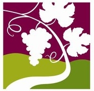 I venti anni di Cantine aperte.  Concorso “Uno scatto per 20”