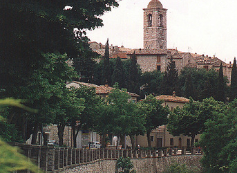 Rapina in casa a Montecchio, 72enne presa a schiaffi e pugni