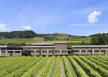 Timori alla Bigi per possibili tagli al personale