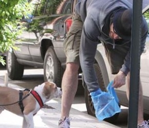 La guerra delle cacche