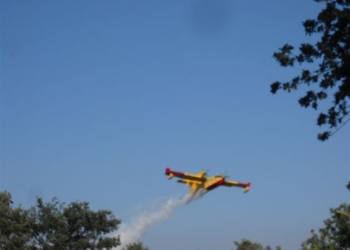 Incendio sull’Alfina, bruciati 100 ettari. Ustionato un volontario della protezione civile