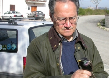 Gianni Cardinali. Lettera aperta al sindaco di Montecchio a proposito di centrale a biogas