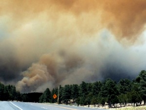 Incendi: iniziata la caccia al piromane