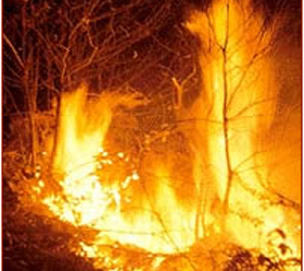 Ordinanza per la prevenzione e la lotta agli incedi boschivi – Campagna regionale 2012