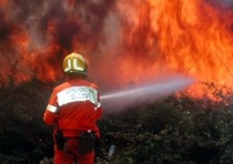 Incendi: iniziata la caccia al  piromane
