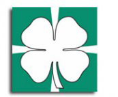 Dal 16 luglio al 10 agosto attività estive per ragazzi “E…state…al Majorana!”