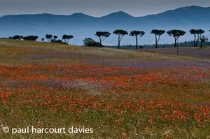 In difesa della Renara