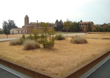 E lo chiamano “verde pubblico”