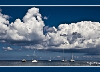 Mare, cielo, fauna e flora