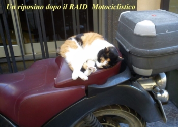 Un riposino dopo il raid motociclistico