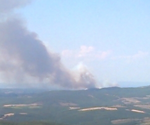 Incendio a Monteleone. Un vero disastro ambientale