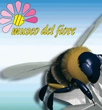 Agosto al museo del Fiore