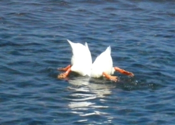 Fine d’Estate a Marta