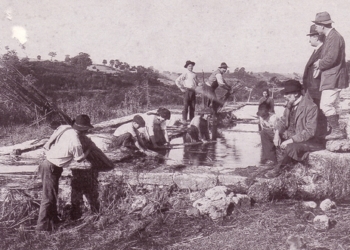 “Contro la crisi usa la canapa”. Festa della raccolta
