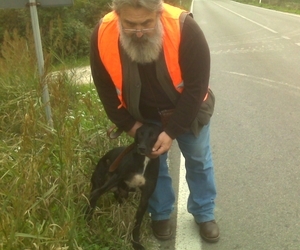 Una storia positiva nel soccorso agli animali incidentati