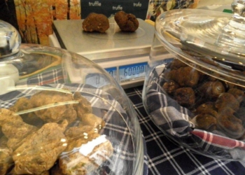 Mostra del Tartufo di Fabro raccontata da Piero Piscini