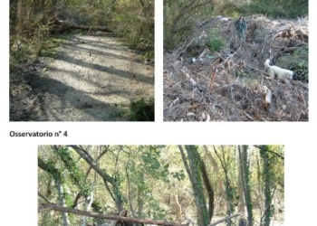 Devastata dall’alluvione l’Oasi di Alviano