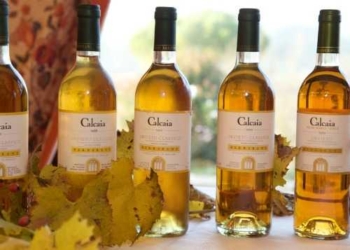 Il Barberani 2008 Calcaia Orvieto Classico Superiore al 19° posto nella classifica mondiale dei vini 2012 stilata da Wine Enthusiast