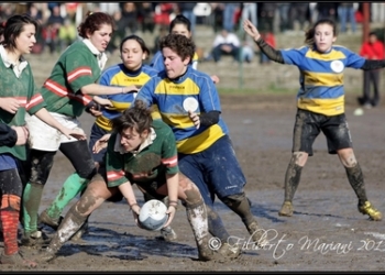 Le Viperette viste e raccontate da me