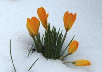 Primavera in Lussemburgo