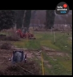 Fiume Paglia. La bonifica del tratto urbano non basta