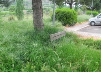 Sferracavallo, l’erba avanza. A Orvieto il cemento rattoppa