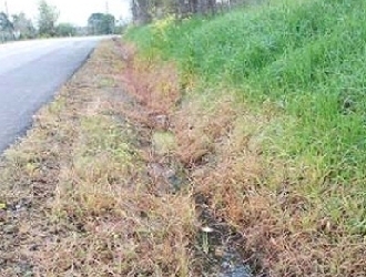 TEMPO DI  DISERBANTl