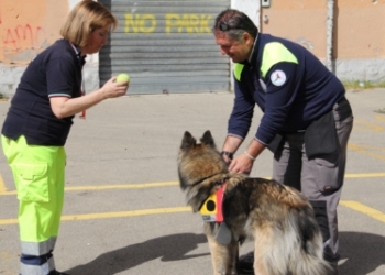 GIOCHIAMO IN…SICUREZZA