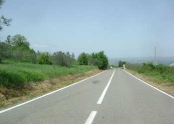 Basta con il diserbo chimico sulle strade