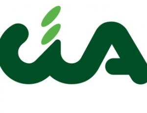 Lupi e cinghiali, in regione è ormai emergenza