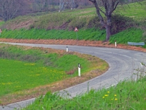 A chi danno fastidio le piante sui marciapiedi o lungo le strade se non ci sono i soldi per tagliarle o estirparle?