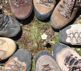 A spasso per conoscere il territorio