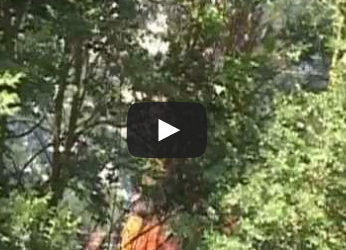 Incendi lungo la ferrovia Orvieto Chiusi: guasto del treno o gesto di piromani?