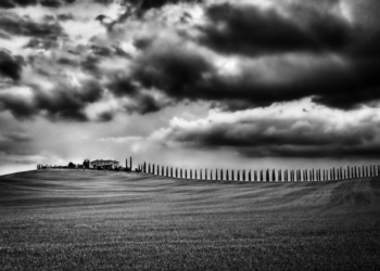 Il Casale di Alex Trenta