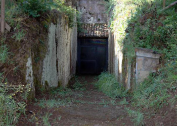 Il sito archeologico Hescanas divorato dalle erbacce. Strada in dissesto