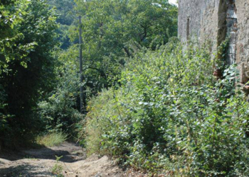 Il sito archeologico Hescanas divorato dalle erbacce. Strada in dissesto