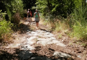 SUCCESSO PER LA “FESTA DELLO SPORT” ORGANIZZATA DALLA POLISPORTIVA DI CASTEL VISCARDO