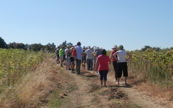 SUCCESSO PER LA “FESTA DELLO SPORT” ORGANIZZATA DALLA POLISPORTIVA DI CASTEL VISCARDO
