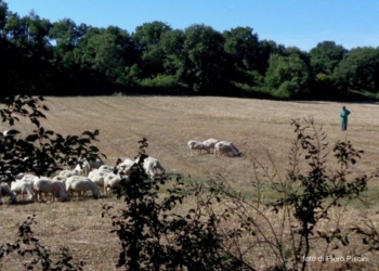 Tu che ne dici? 23 settembre 2013 n° 6