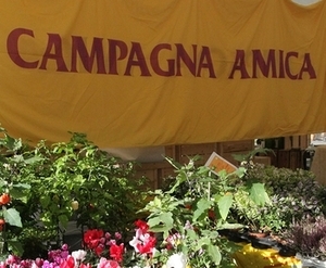 Verso il gran finale di Orvieto con gusto