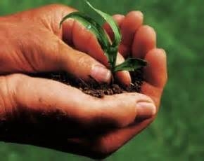 Una grande opportunità per il nostro territorio: l’Istituto professionale per l’Agricoltura e l’Ambiente a Fabro.