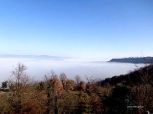 Se tanto mi dà tanto, è poco. Nota su rinnovamento e metodo alla Nativi