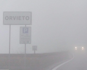 Tu che ne dici? del 13 gennaio 2014, n°22