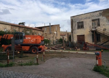 Tagliati i cipressi della ex Comunità montana