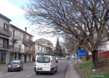 Bisogno di una sforbiciatina?