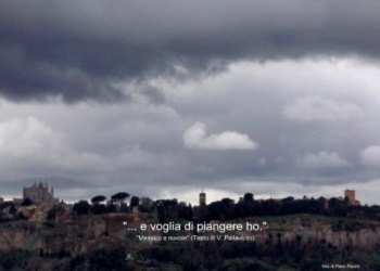 Tu che ne dici? del 10 febbraio 2014 n° 26