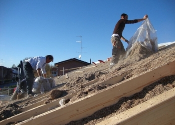 Canapa: qualcosa si sta muovendo